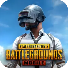 PUBG MOBILE UC 1800 UC